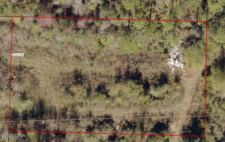 0 Raccoon Road Southport, FL 32409 - Photo 3 of 7