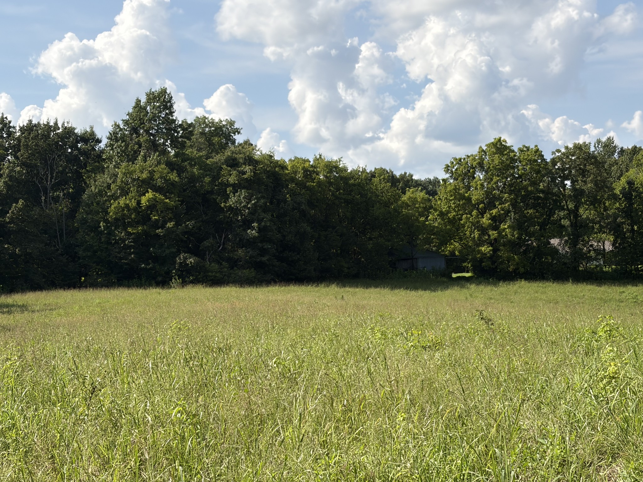 1448 Williams Hollow Road Pulaski, TN 38478 - Photo 57 of 70 Gallery Image 57