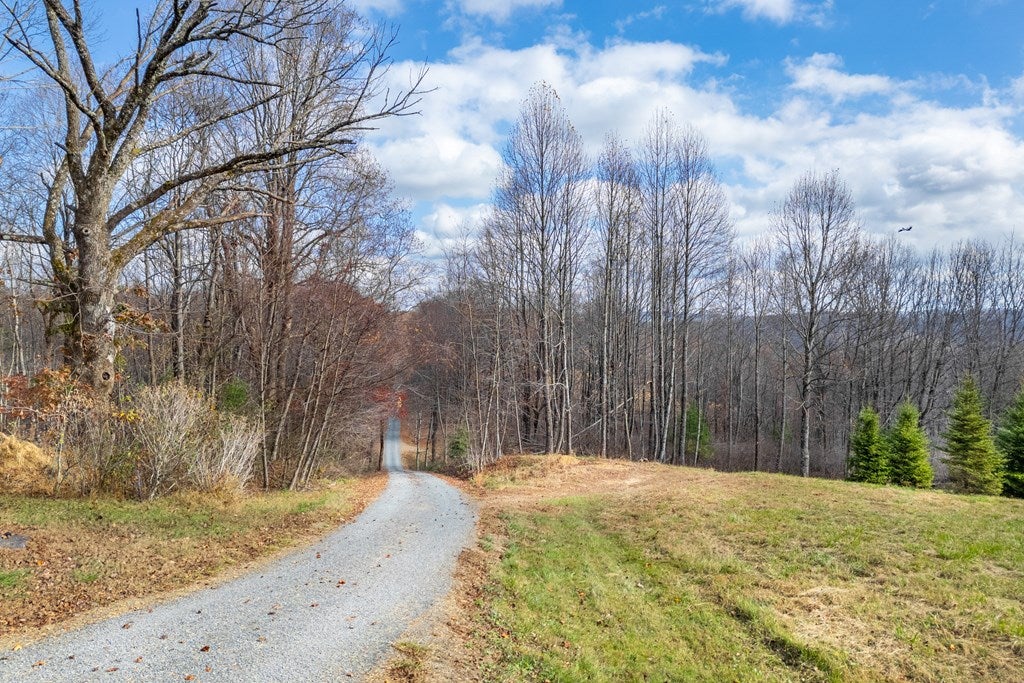 3.8-acre Dogwood Ridge, Unit 2B Fancy Gap, VA 24328 - Photo 28 of 39 Gallery Image 28