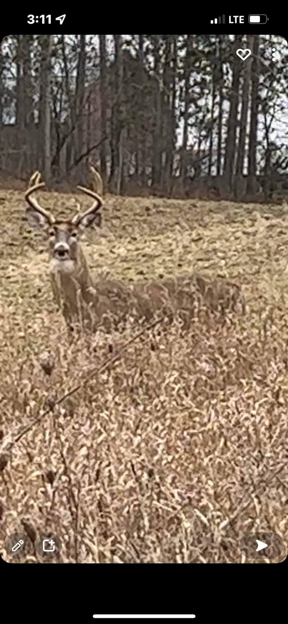 22 22 Mile Road Marion, MI 49665 - Photo 19 of 22