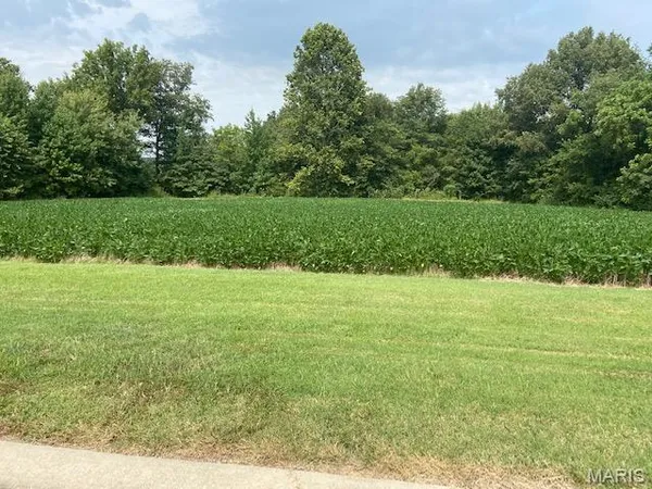 $38,000 | 0 Brookfield Drive, Dexter, MO 63841