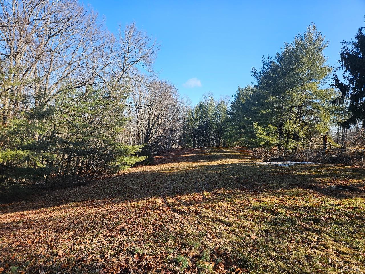 114 Riverview Road Hurt, VA 24563 - Photo 19 of 19 a view of a yard with large trees