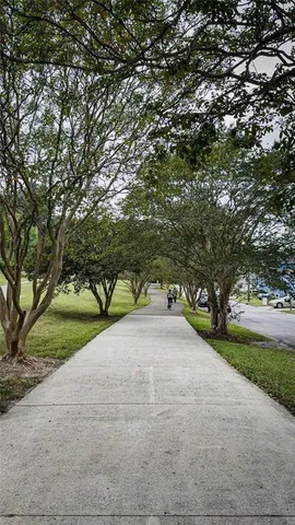 a view of a road with a yard