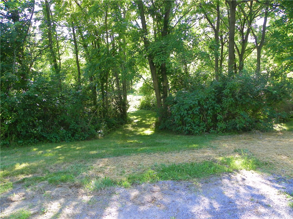 2933 East Valley Road Jerusalem, NY 14478 - Photo 2 of 20 Part of 4 acres across the road