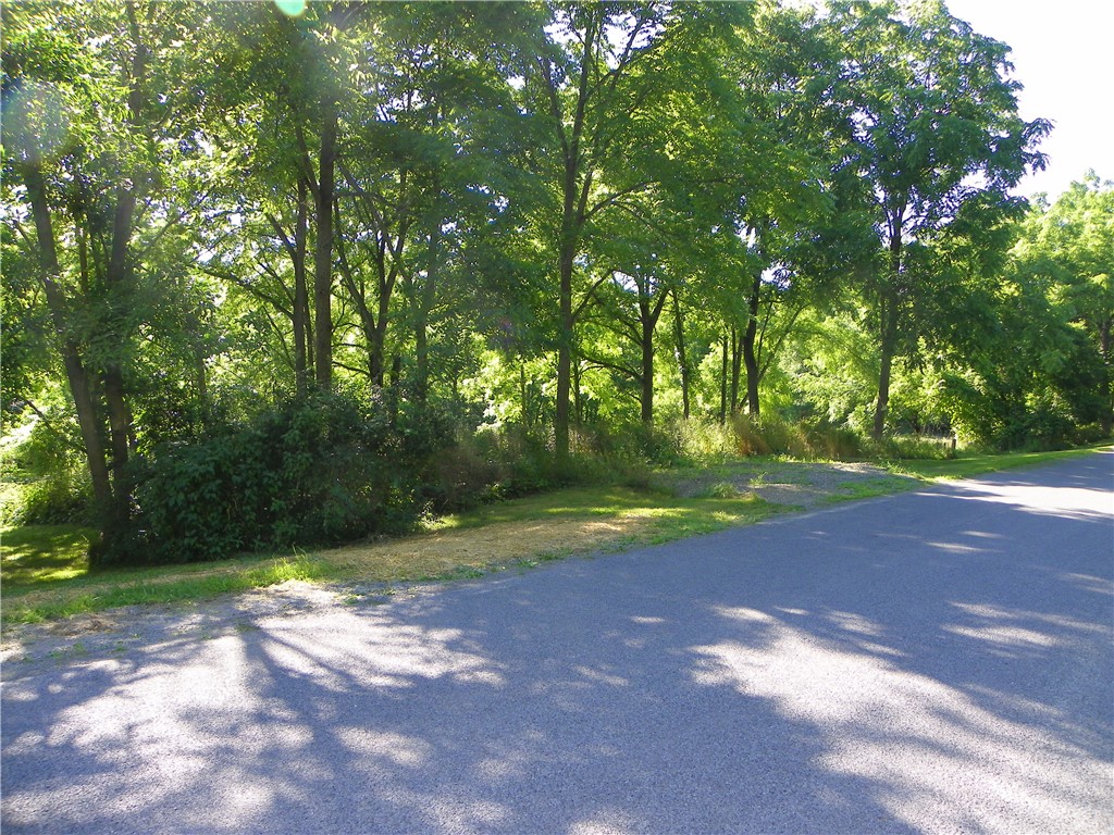 2933 East Valley Road Jerusalem, NY 14478 - Photo 3 of 20 Part of 4 acres across the road