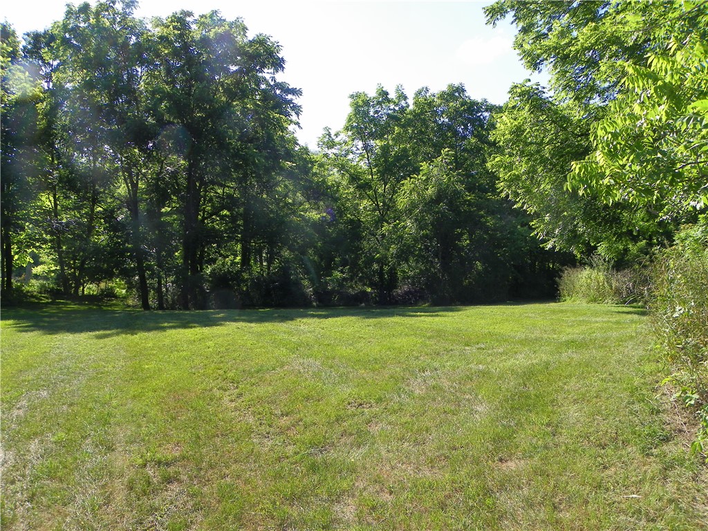 2933 East Valley Road Jerusalem, NY 14478 - Photo 4 of 20 Part of 4 acres across the road