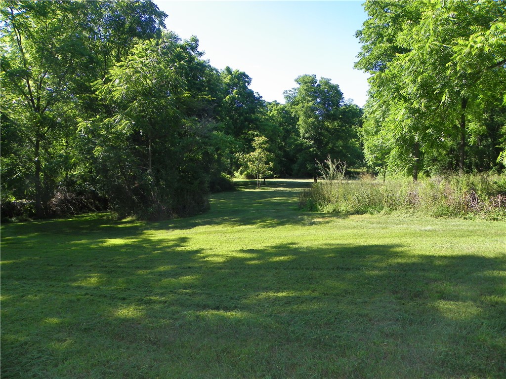 2933 East Valley Road Jerusalem, NY 14478 - Photo 5 of 20 Part of 4 acres across the road