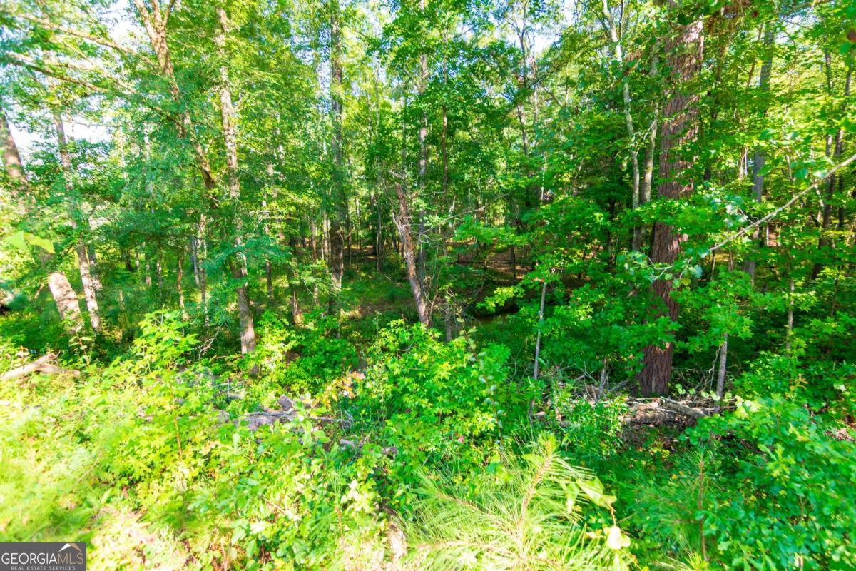 253 Price Road Pine Mountain, GA 31822 - Photo 74 of 74 Gallery Image 74