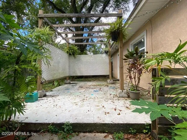 a view of a yard with plants