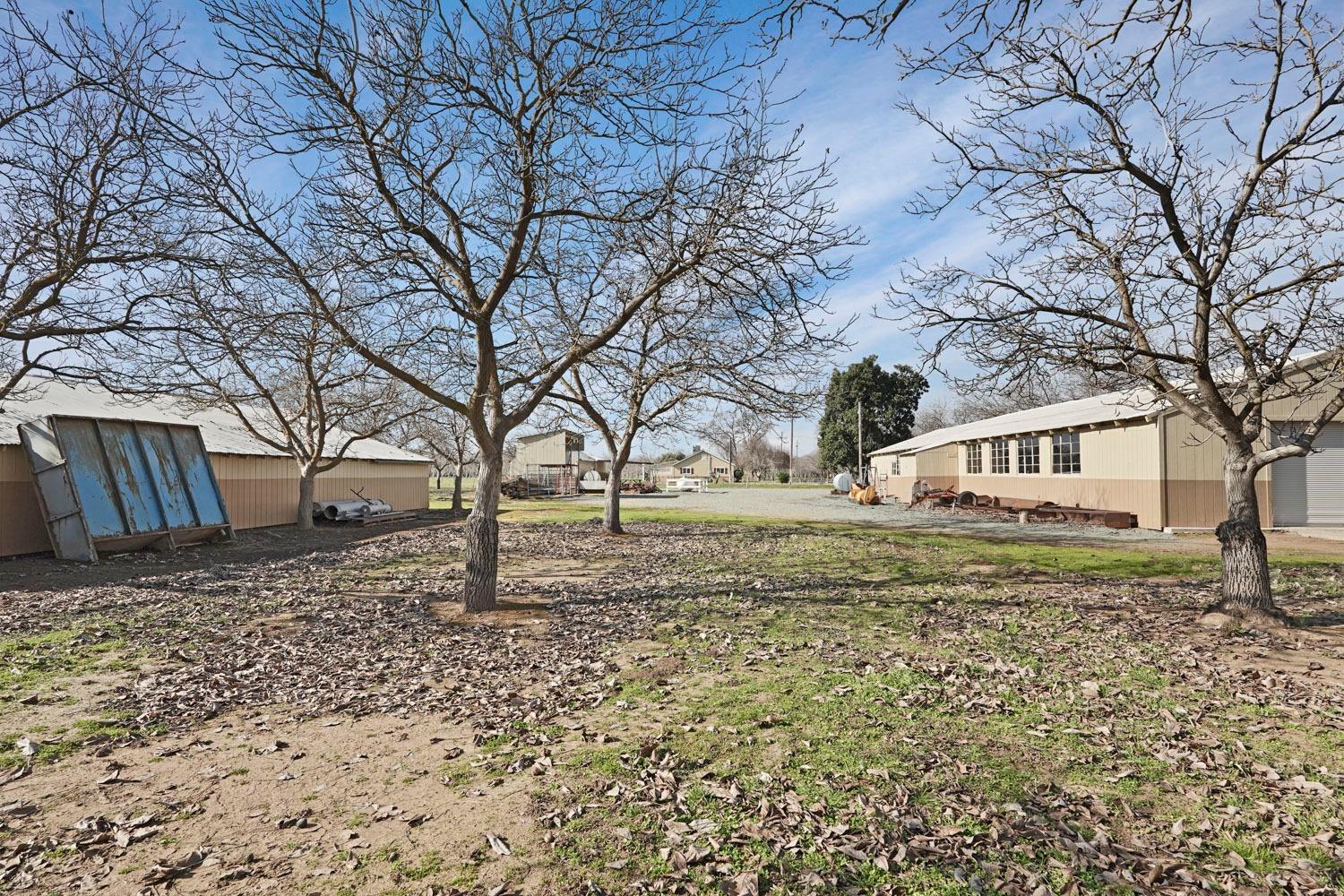 10710 North Shelton Road Linden, CA 95236 - Photo 71 of 75 a front view of a house with a yard