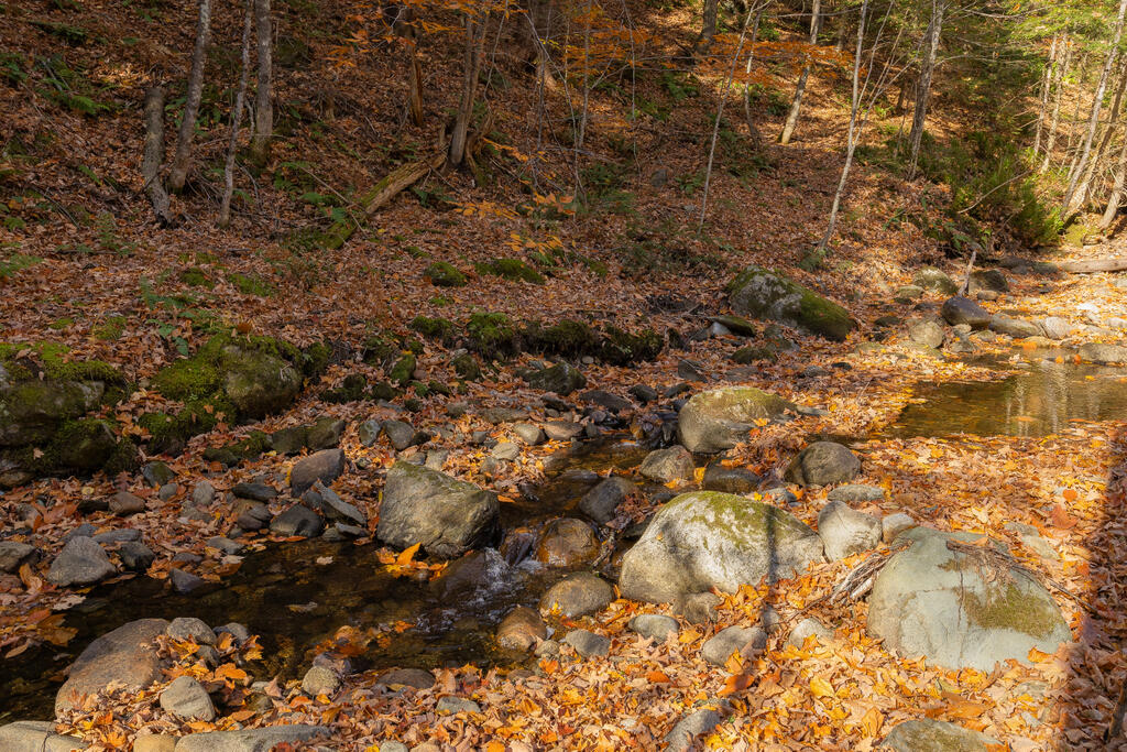 120 Butterfield Road Wilton, ME 04294 - Photo 53 of 74 sandy-river-realty-50