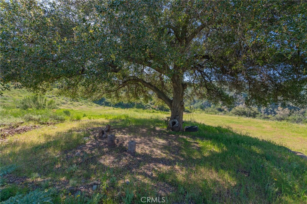 28741 Williams Canyon Road Silverado, CA 92676 - Photo 23 of 36