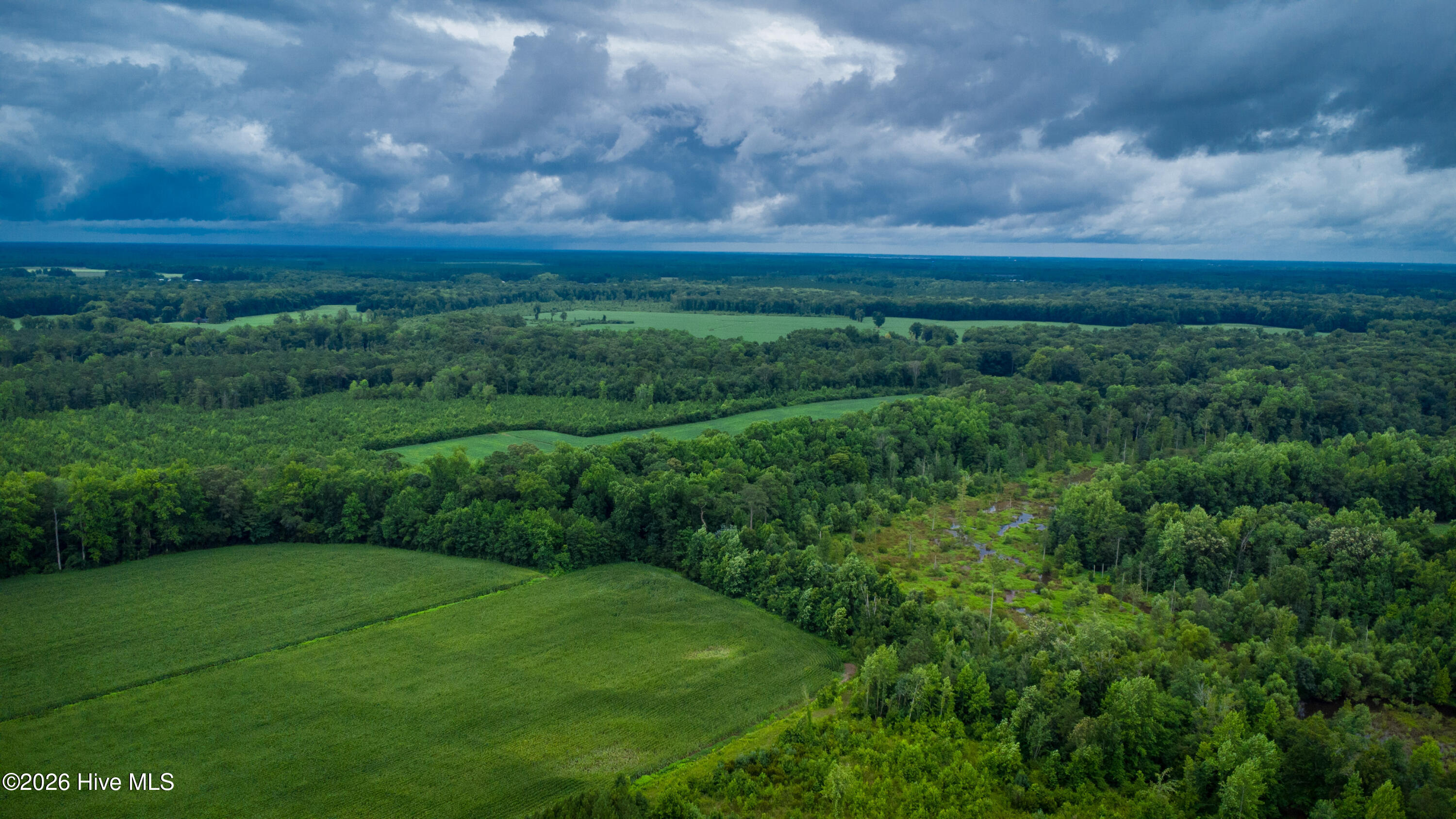 1601 Hill Neck Road Ernul, NC 28527 - Photo 20 of 33 Over 230 Acres of Opportunity