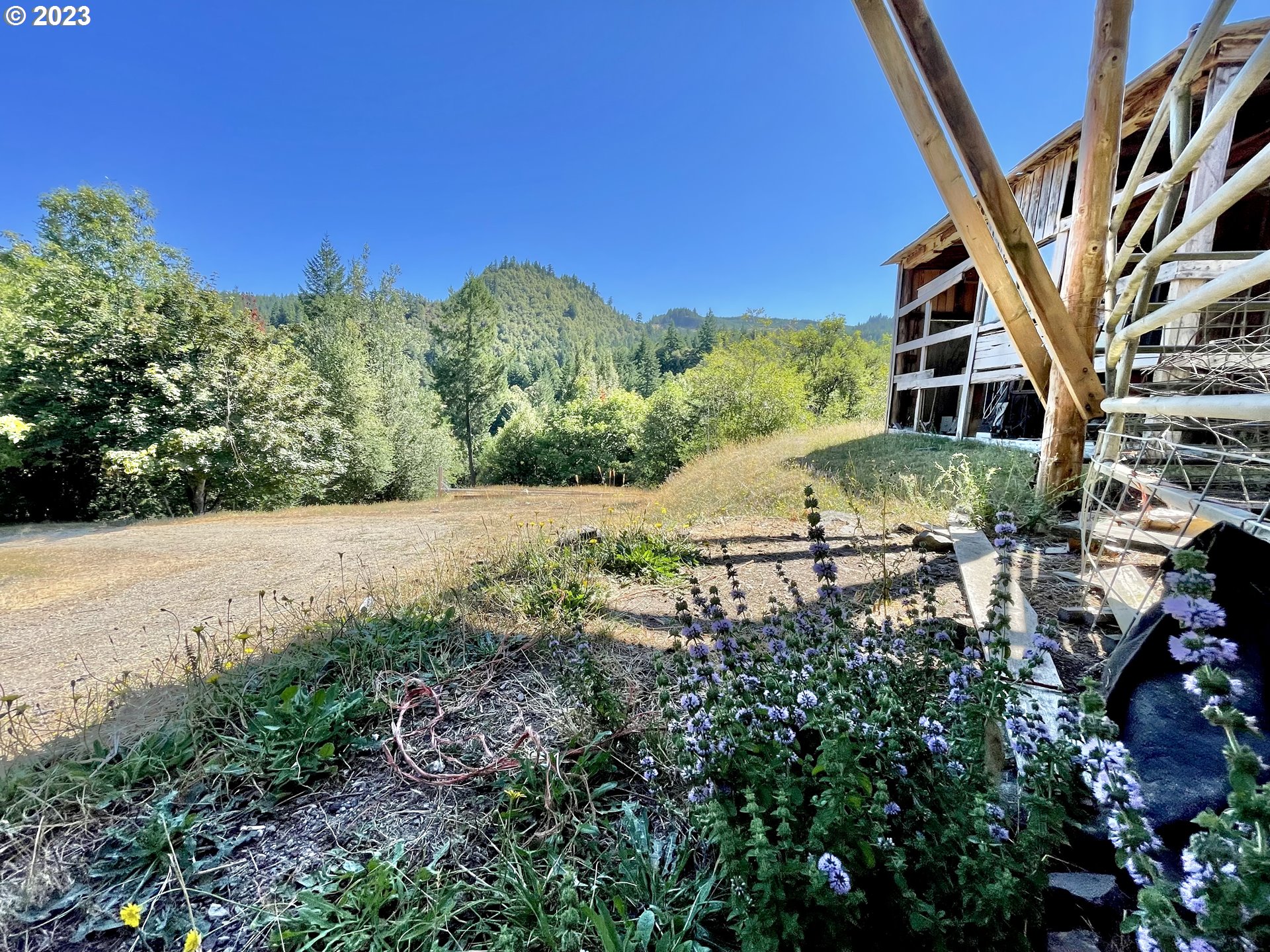49008 Eckley Mountain Road Broadbent, OR 97414 - Photo 23 of 48 a backyard of a house with lots of green space