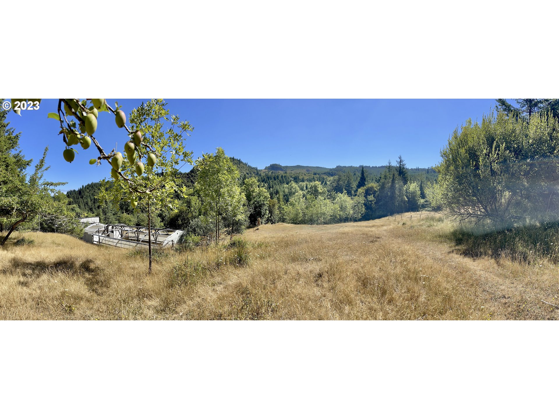 49008 Eckley Mountain Road Broadbent, OR 97414 - Photo 30 of 48