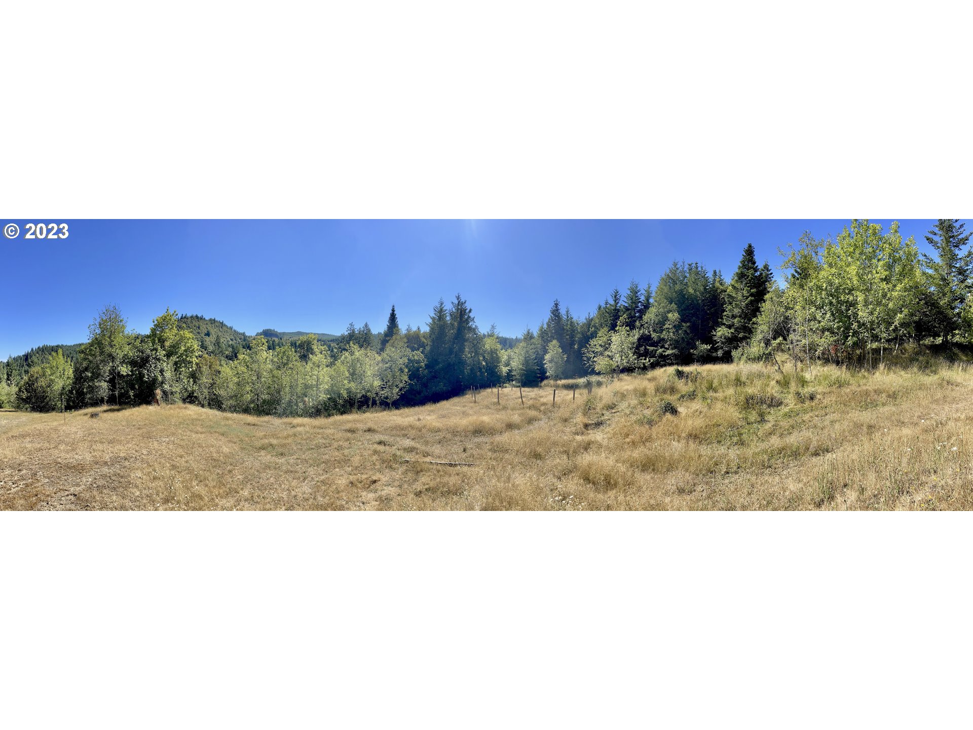 49008 Eckley Mountain Road Broadbent, OR 97414 - Photo 32 of 48 a view of a yard