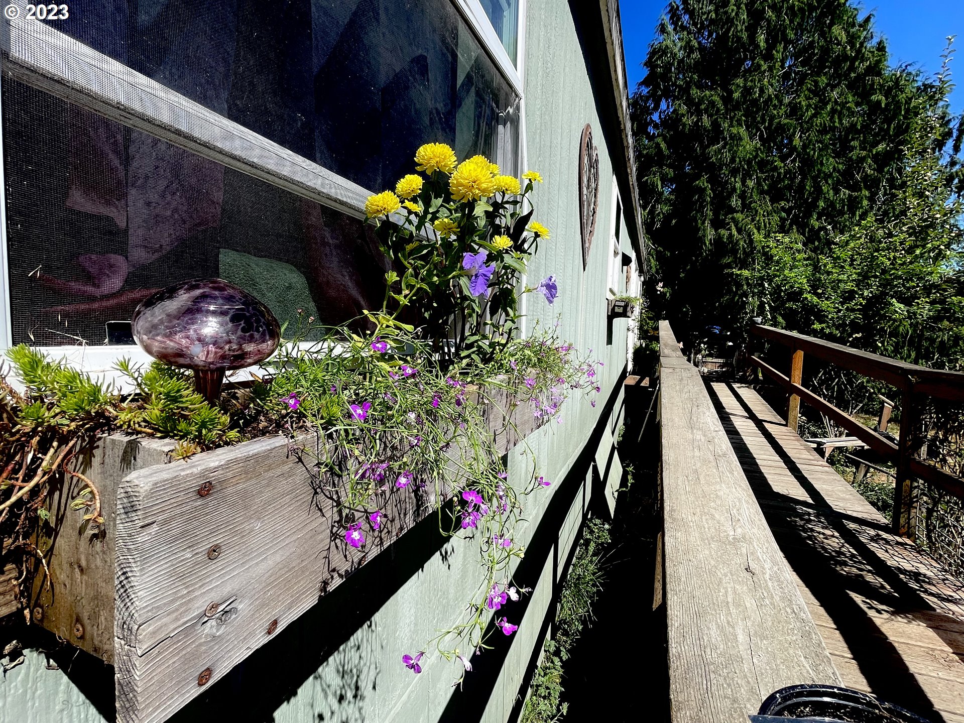 49008 Eckley Mountain Road Broadbent, OR 97414 - Photo 8 of 48 a view of a potted flower in the corridor