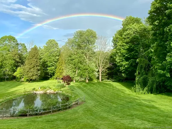 a view of a big yard with large trees