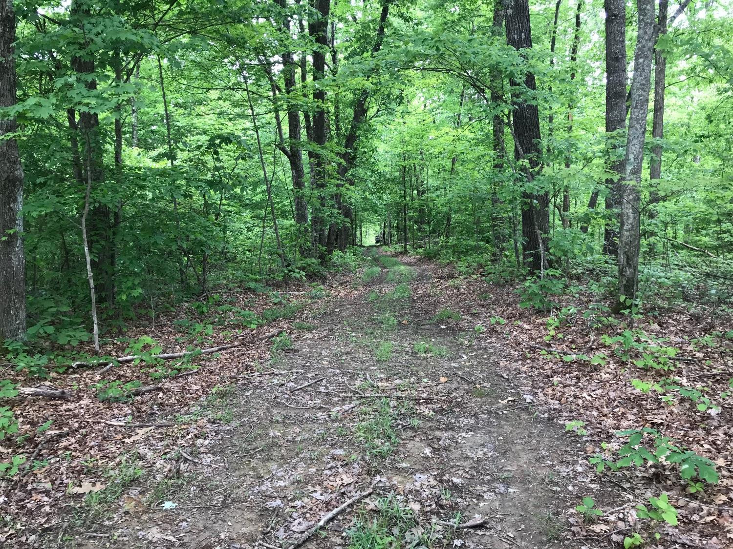 1 Amos Ridge Road Frenchburg, KY 40322 - Photo 1 of 15 Listing Photo