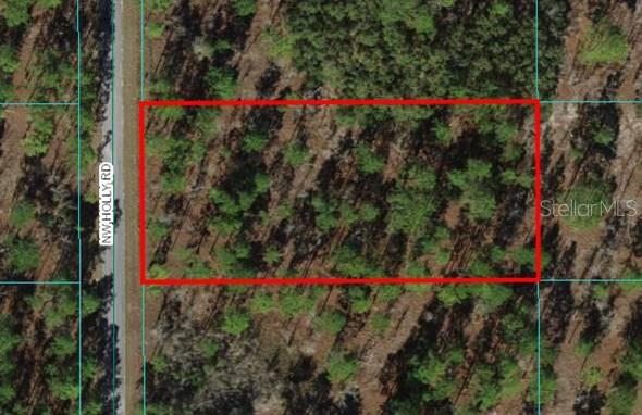22 Northwest Holly Road Dunnellon, FL 34431 - Photo 1 of 1 Gallery Image 1