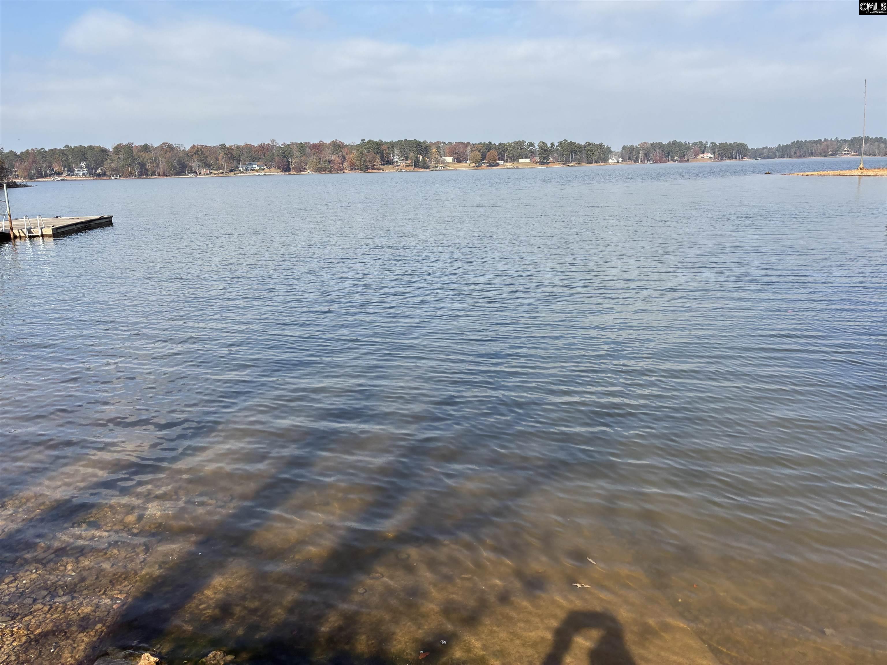 266 Saluda Waters Point Leesville, SC 29070 - Photo 7 of 7