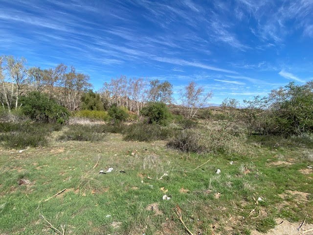 a view of a field with an ocean