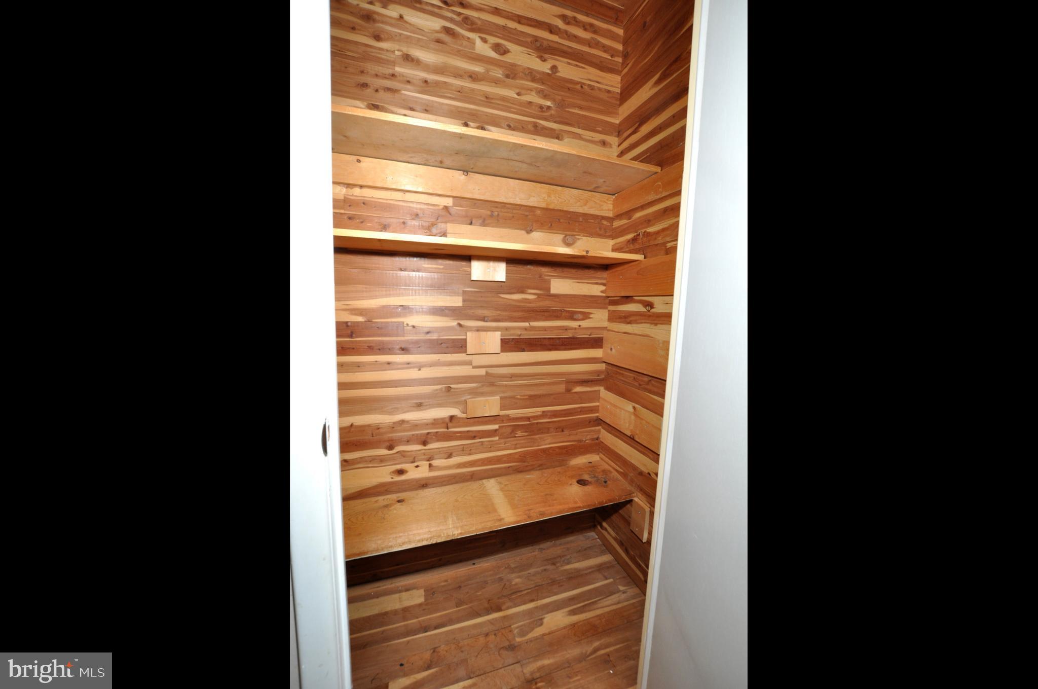 210 Philellena Road Cherry Hill, NJ 08034 - Photo 18 of 30 a view of walk in closet with empty racks