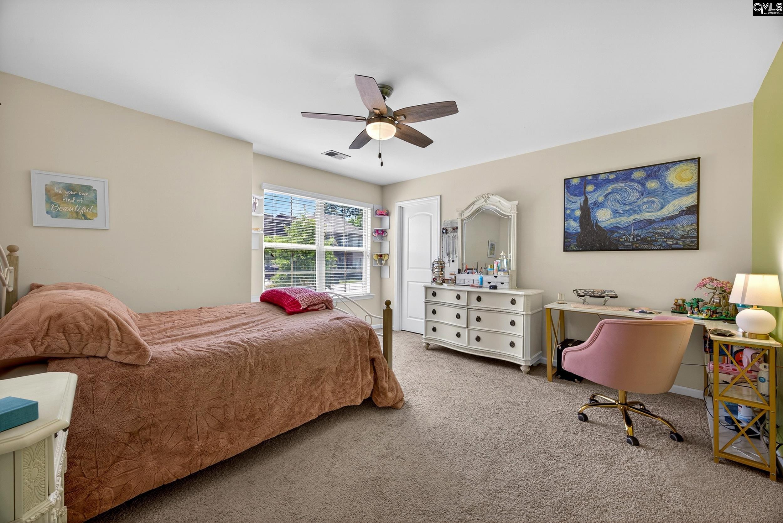 436 Maria Posada Court Chapin, SC 29036 - Photo 43 of 73