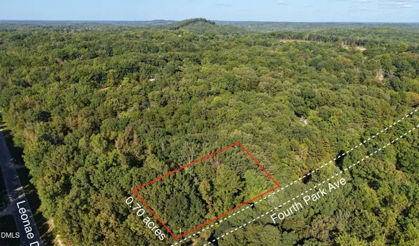 a view of a field with a lush green forest