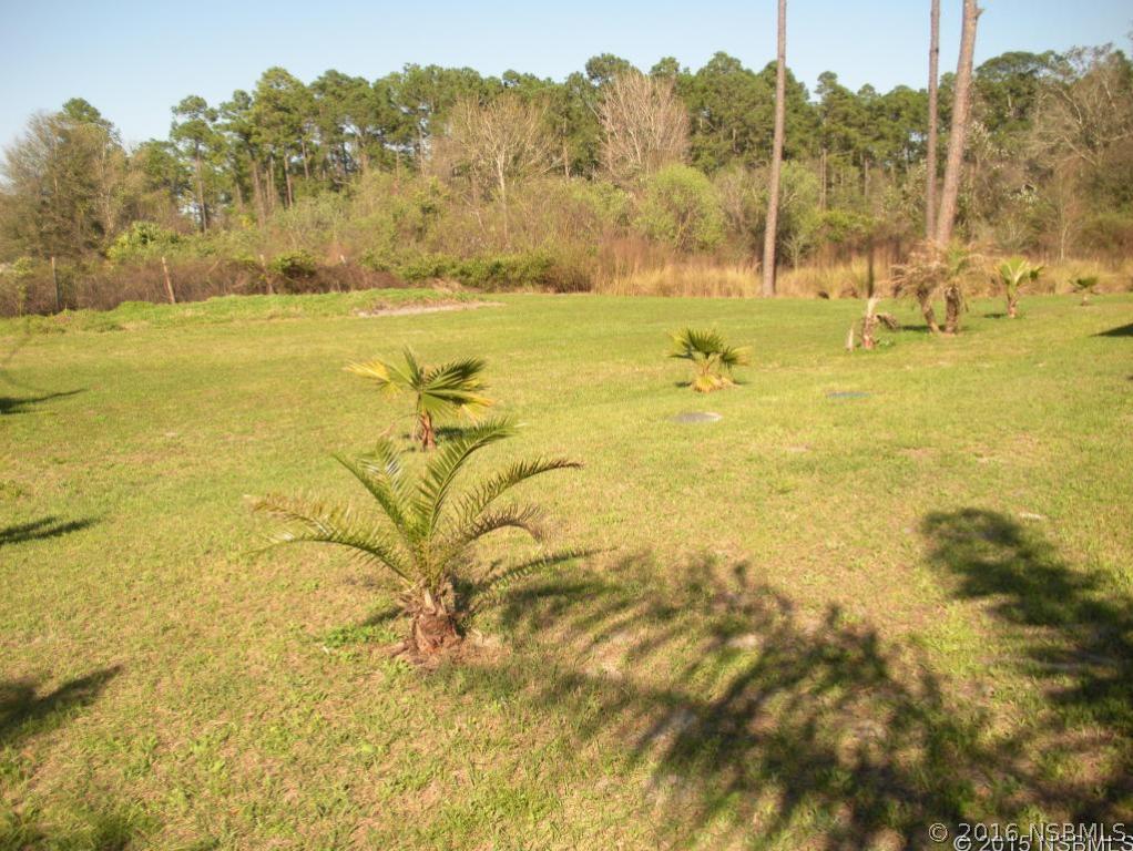 817 South State Road New Smyrna Beach, FL 32168 - Photo 3 of 14 Gallery Image 3