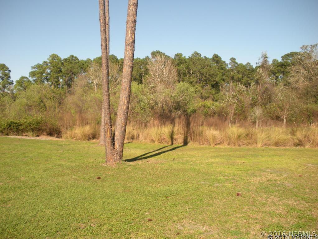 817 South State Road New Smyrna Beach, FL 32168 - Photo 4 of 14 Gallery Image 4