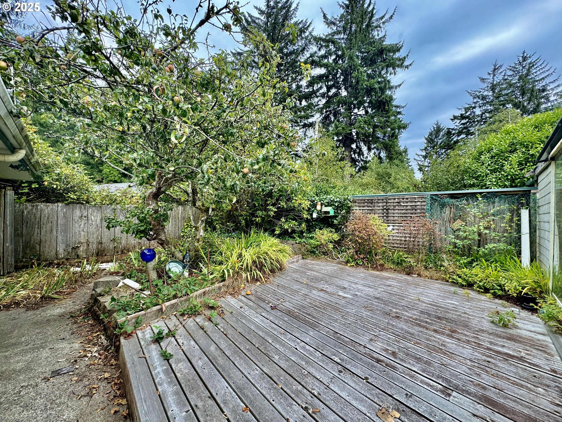 4990 Mitchell Loop Road Florence, OR 97439 - Photo 30 of 35 a backyard of a house with lots of green space