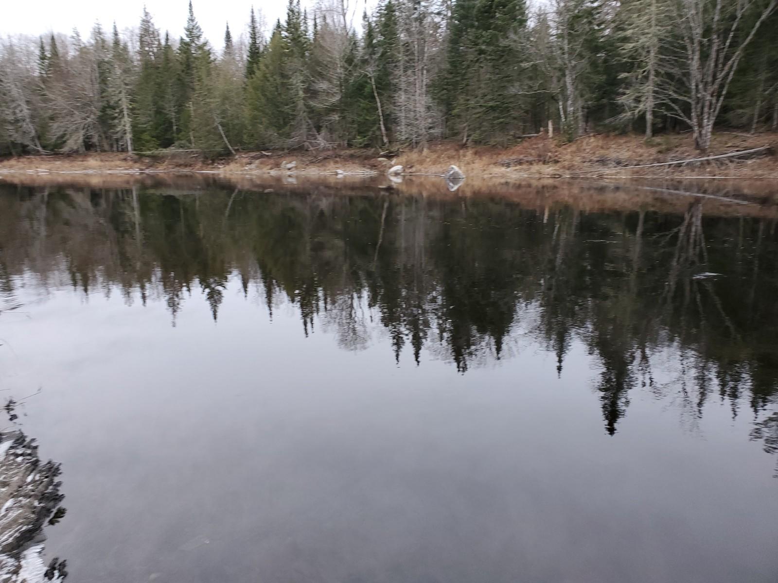 Lot 7 South Haynes Road Wytopitlock, ME 04497 - Photo 7 of 8 20201119_141240 (1)
