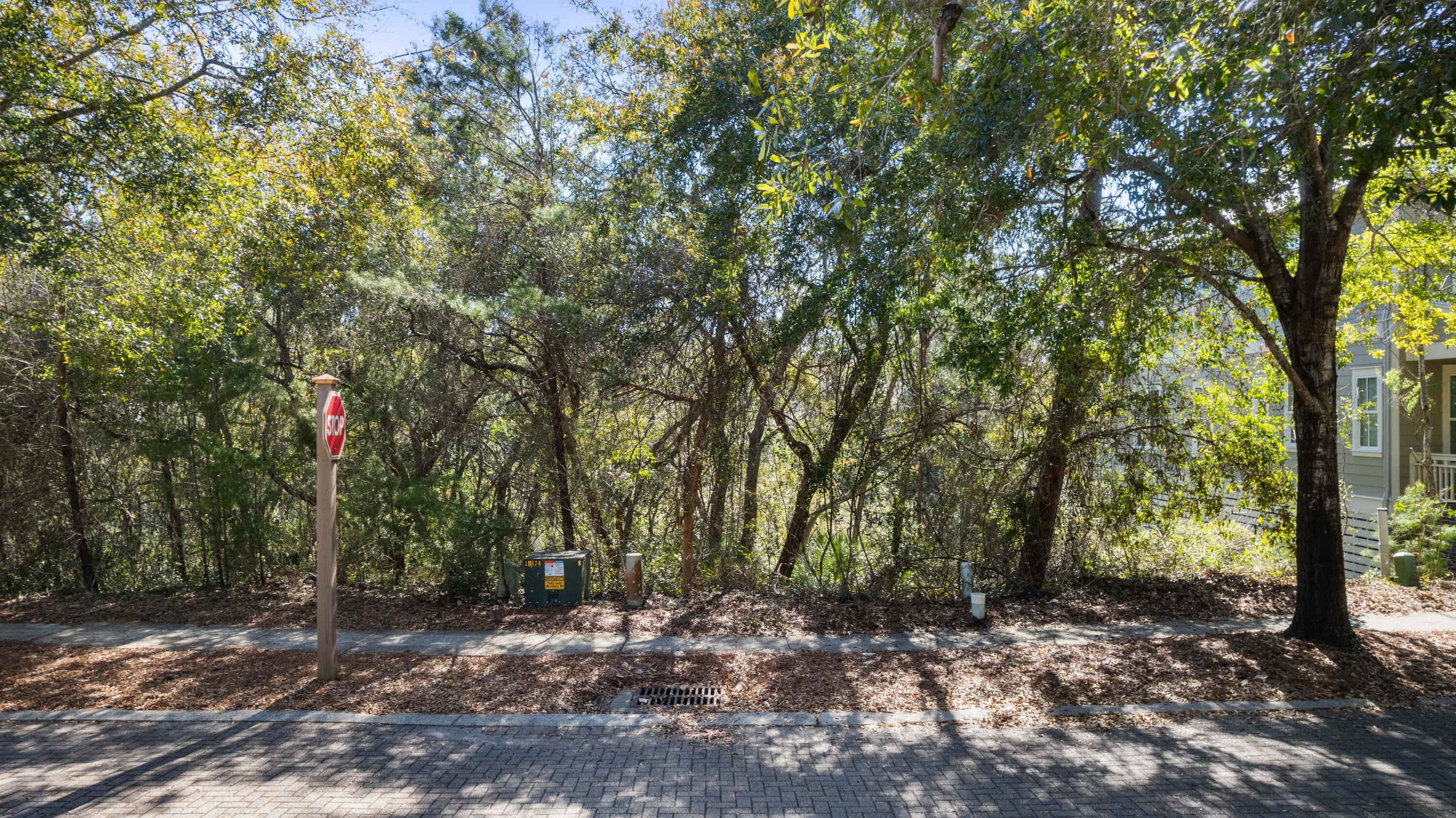Lot 7 Okeechobee West Santa Rosa Beach Santa Rosa Beach, FL 32459 - Photo 2 of 22 a pathway of a forest