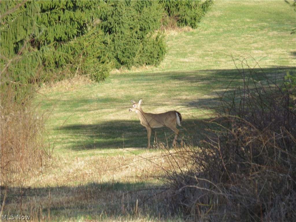 Nectar Road Salineville, OH 43945 - Photo 3 of 15 Gallery Image 3