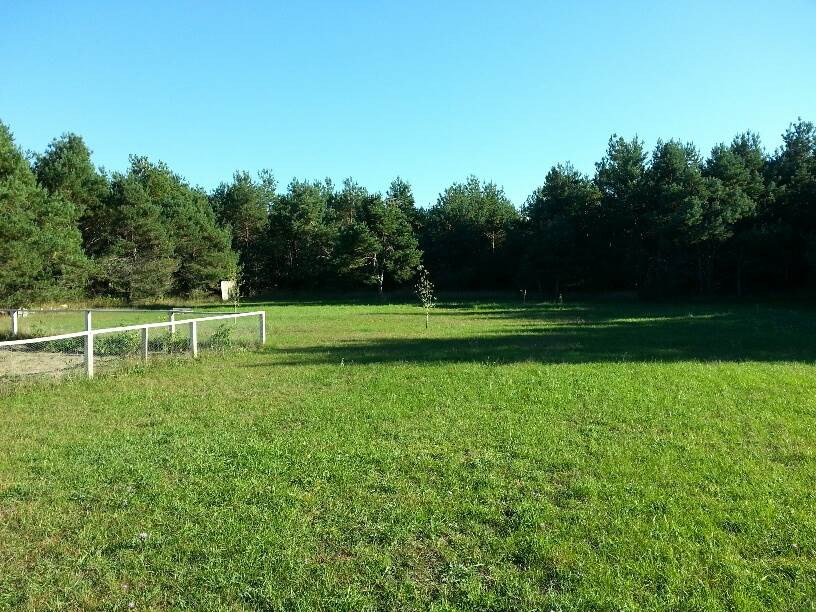 17105 Fewins Road Interlochen, MI 49643 - Photo 81 of 88 1804842-80.JPG