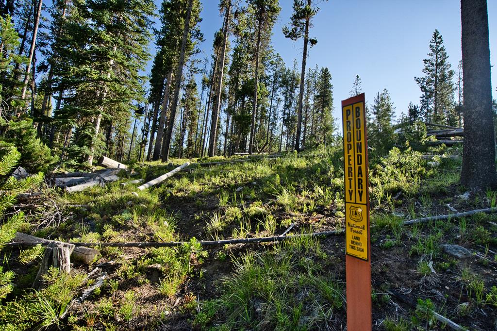 Tbd Tbd Secesh River Road, Unit 52 McCall, ID 83638 - Photo 9 of 18