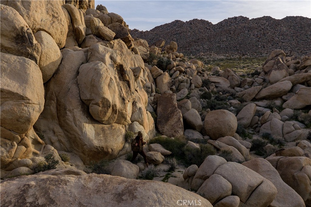 63251 Chickasaw Road Joshua Tree, CA 92252 - Photo 17 of 28