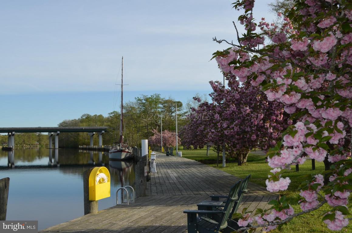 1313 Buck Harbor Road Pocomoke City, MD 21851 - Photo 12 of 62 Gallery Image 12