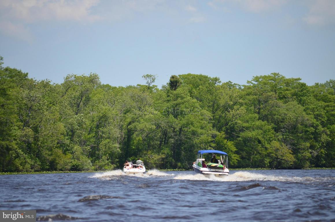 1313 Buck Harbor Road Pocomoke City, MD 21851 - Photo 15 of 62 Gallery Image 15