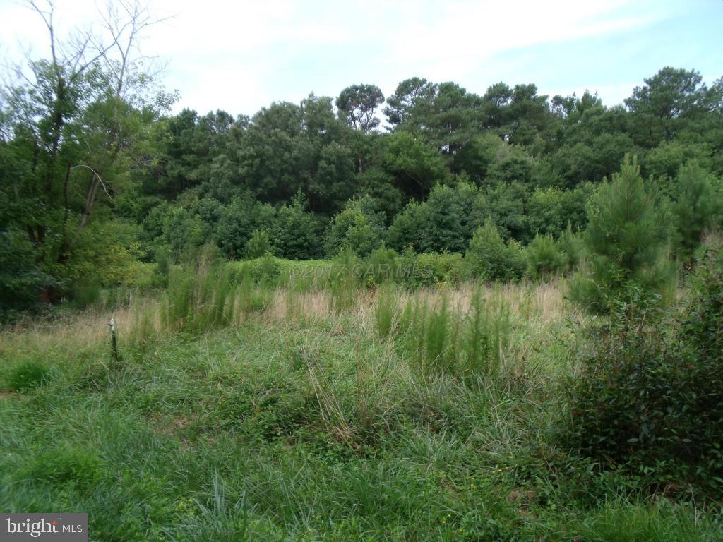 1313 Buck Harbor Road Pocomoke City, MD 21851 - Photo 3 of 62 Gallery Image 3