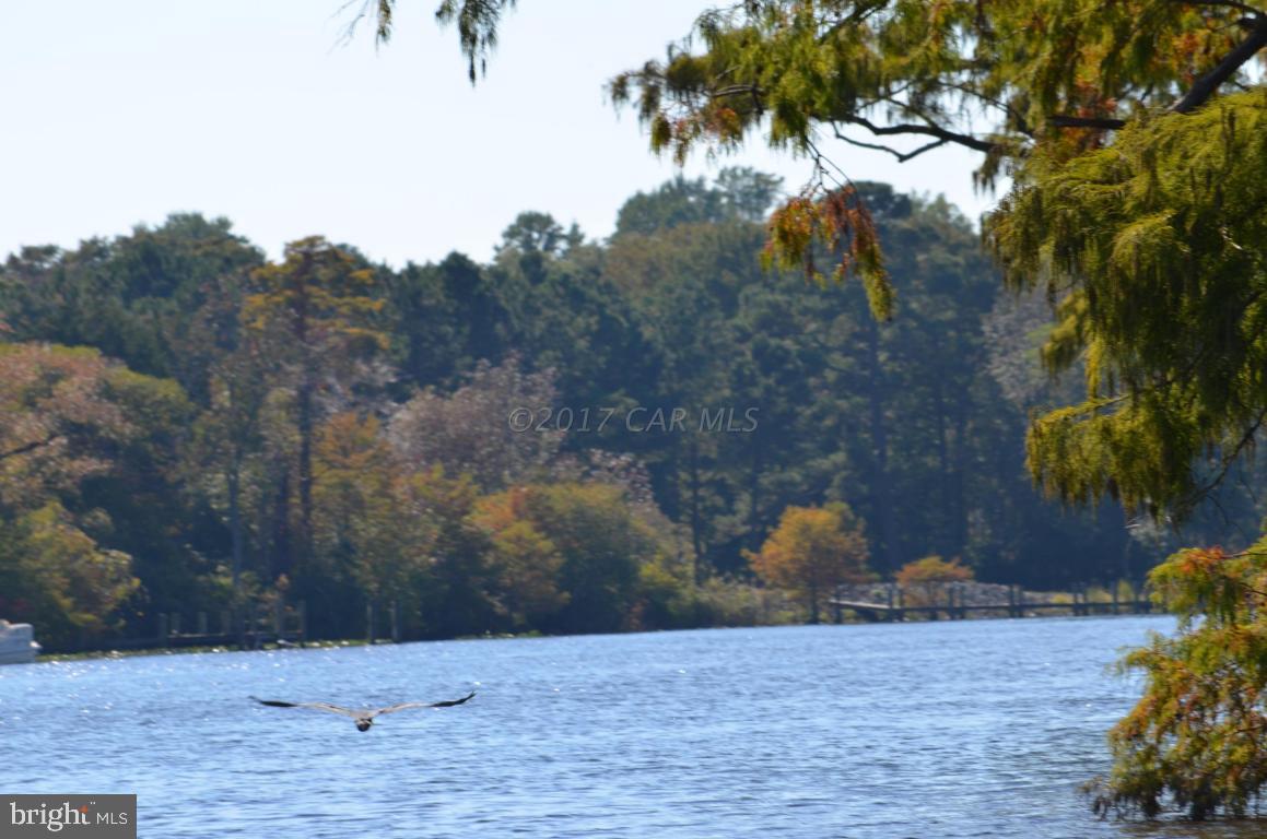 1313 Buck Harbor Road Pocomoke City, MD 21851 - Photo 26 of 62 Gallery Image 26