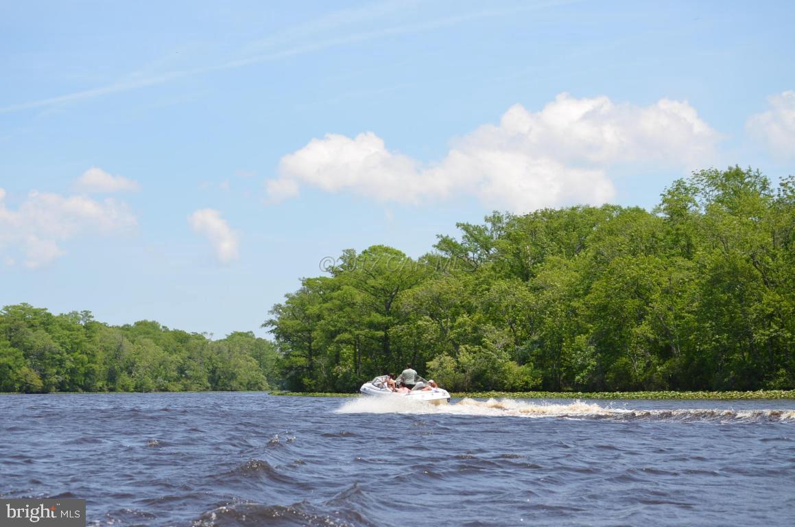 1313 Buck Harbor Road Pocomoke City, MD 21851 - Photo 9 of 62 Gallery Image 9