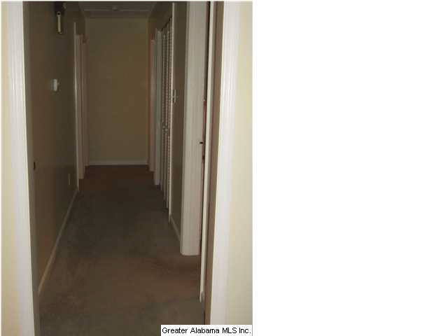 6168 Old Springville Road Pinson, AL 35126 - Photo 10 of 22