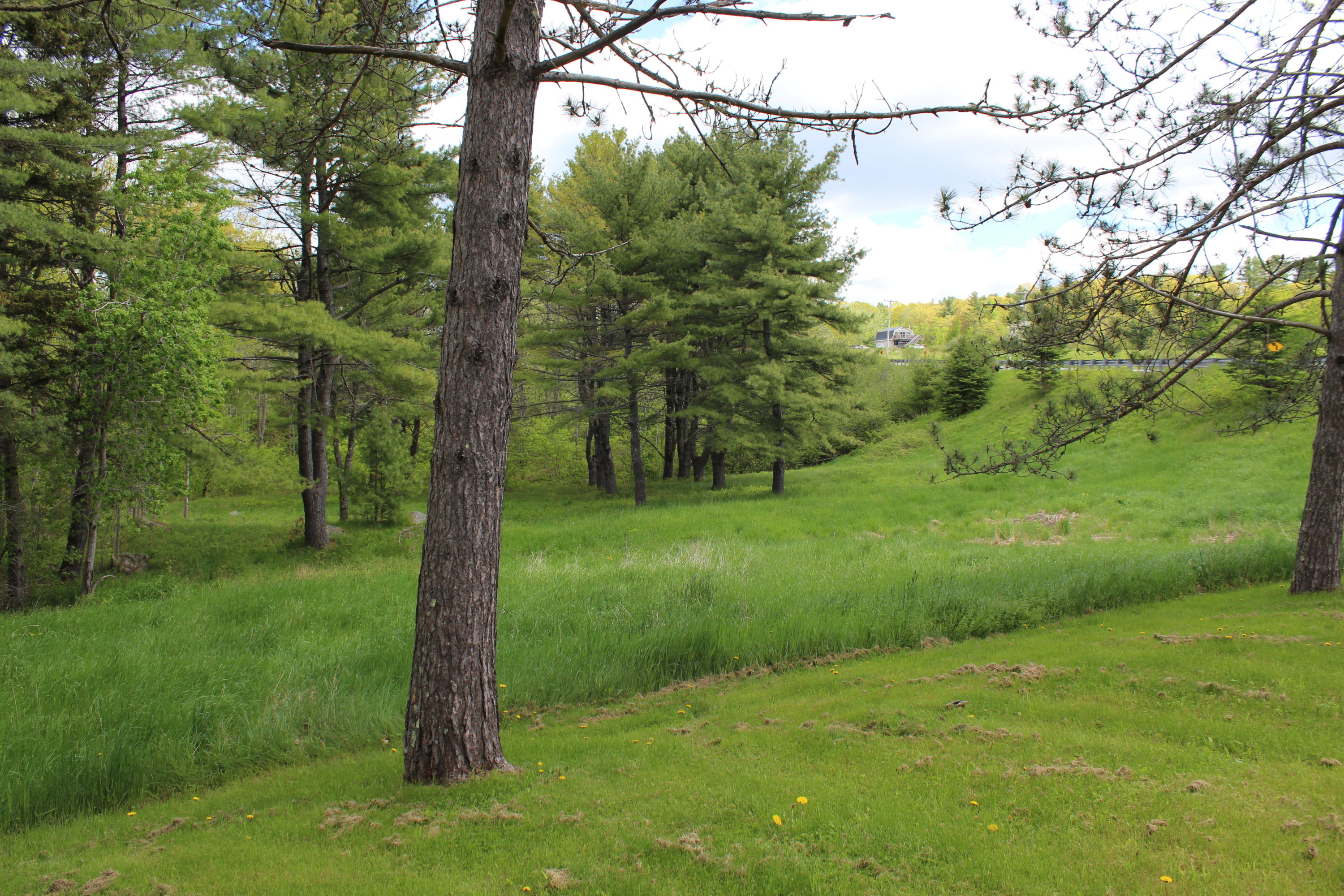 447 Castine Road Orland, ME 04472 - Photo 58 of 92 IMG_7258
