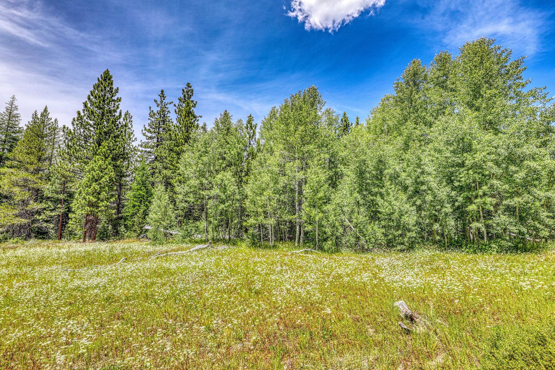 16145 Martis Peak Road Truckee, CA 96161 - Photo 12 of 21