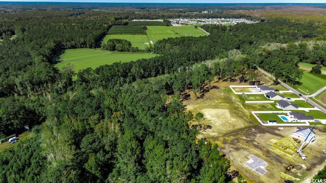 8.06-acs Old Bucksville Road Conway, SC 29527 - Photo 3 of 13