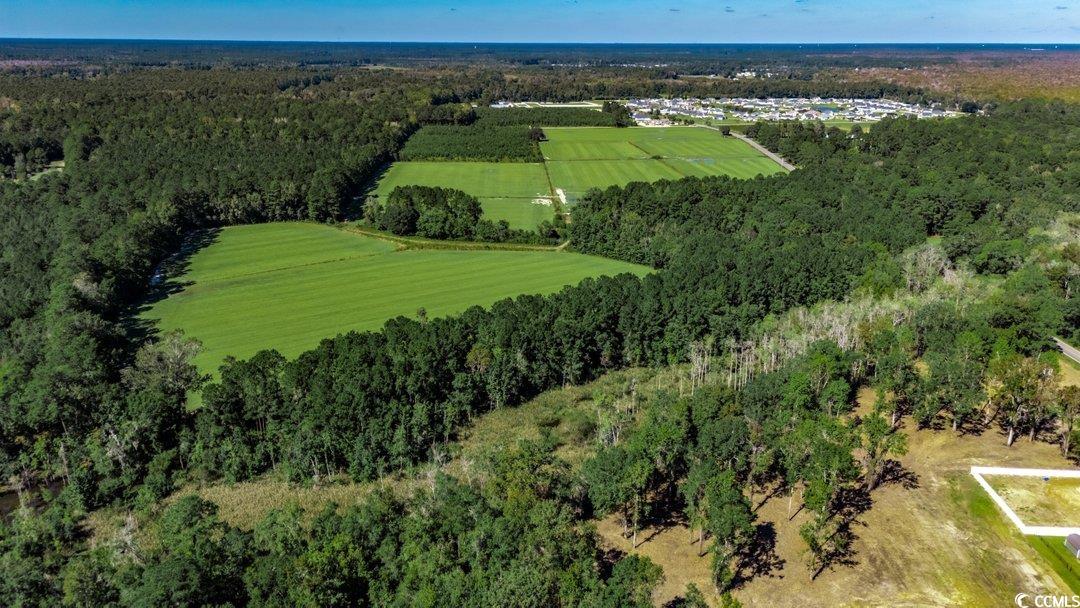 8.06-acs Old Bucksville Road Conway, SC 29527 - Photo 4 of 13