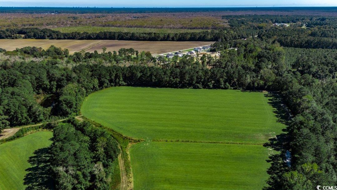 8.06-acs Old Bucksville Road Conway, SC 29527 - Photo 7 of 13