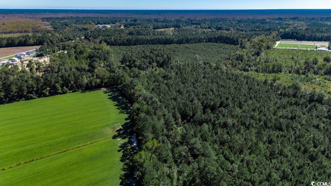 8.06-acs Old Bucksville Road Conway, SC 29527 - Photo 8 of 13